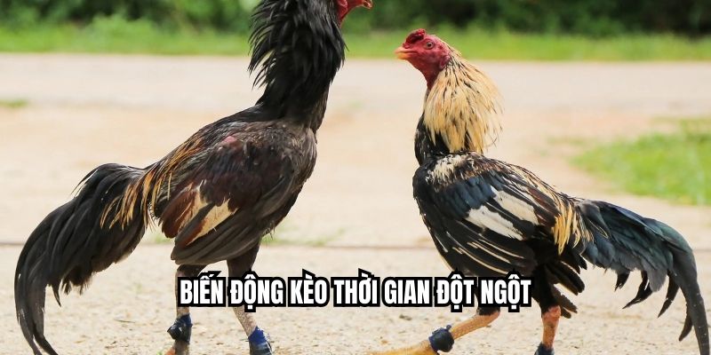 Biến động kèo thời gian đột ngột