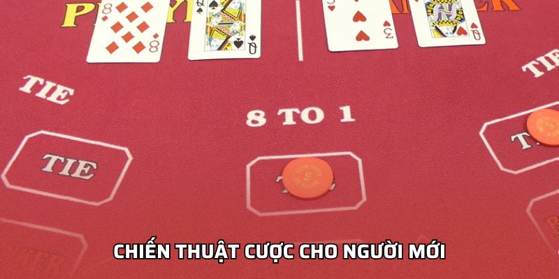 Chiến thuật cược cho người mới