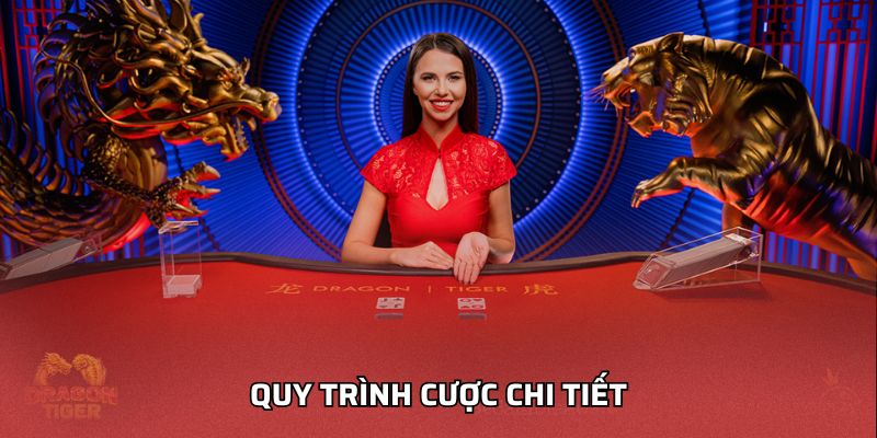 Quy trình cược chi tiết